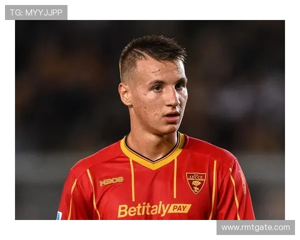 卡马尔达伤缺15天无缘国米 卡马尔达伤缺15天无缘国米